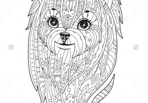 Coloriage Yorkshire Adult Coloring Page with Purebred Dog In Zendala Style Doodle