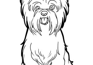 Coloriage Yorkshire Yorkshire Terrier by Candybeelineartsviantart On Deviantart