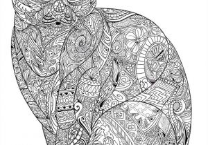 Coloriage Zen Chat à Imprimer 18 Best Coloriage Images On Pinterest