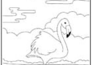 Coloriage Zuh Zuh Pet Coloriage Des Animaux Du Monde A Imprimer Et A Colorier Page1