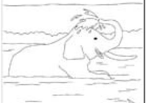 Coloriage Zuh Zuh Pet Coloriage Des Animaux Du Monde A Imprimer Et A Colorier Page1