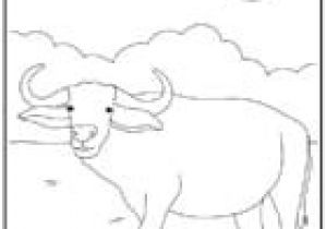 Coloriage Zuh Zuh Pet Coloriage Des Animaux Du Monde A Imprimer Et A Colorier Page1