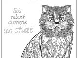 Coloriages Adultes à Imprimer Animaux Animaux Coloriages Difficiles Pour Adultes Coloriage Adulte soit