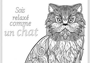 Coloriages Adultes à Imprimer Animaux Animaux Coloriages Difficiles Pour Adultes Coloriage Adulte soit