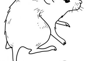 Coloriages Avec La souris Dessin D’une souris Prête à être Colorier