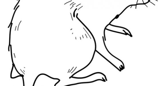 Coloriages Avec La souris Dessin D’une souris Prête à être Colorier