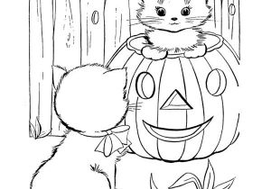 Coloriages Chats à Imprimer Gratuits 228 Best Coloriage Chat Images On Pinterest