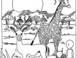 Coloriages D Animaux De La Savane Les 84 Meilleures Images De Coloriages Animaux Sauvages