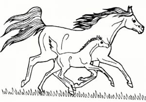Coloriages De Chevaux A Imprimer Gratuit Coloriage Cheval Et Poulain Au Galop Dessin Gratuit à Imprimer