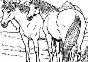 Coloriages De Chevaux A Imprimer Gratuit Coloriage Des Animaux De La Ferme