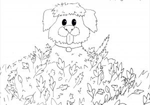Coloriages De Littlest Pet Shop Coloriage Petshop De Luxe Coloriage souris De Maison Unique