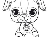 Coloriages De Littlest Pet Shop Free Lps Printables Download Free Clip Art Free Clip Art