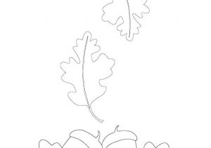 Coloriages Feuilles D Automne 318 Best Coloriages De Fleurs Et Nature Images On Pinterest