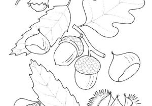 Coloriages Feuilles D Automne 68 Best Coloriage Enfants Images On Pinterest