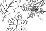 Coloriages Feuilles D Automne Afficher L Image D origine Projets   Essayer