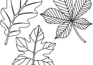 Coloriages Feuilles D Automne Afficher L Image D origine Projets   Essayer