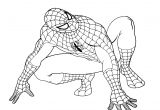 Coloriages Pour Enfants Net Spiderman Gratuit 9 Coloriage Spiderman Coloriages