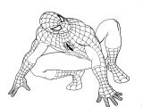 Coloriages Pour Enfants Net Spiderman Gratuit 9 Coloriage Spiderman Coloriages