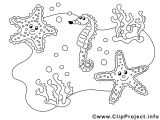 Coquillage De Mer Coloriage 14 De Luxe Coloriage Coquillage Collection