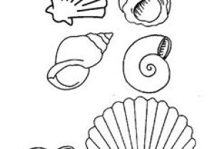 Coquillage De Mer Coloriage Coloriage Mer