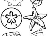 Coquillage De Mer Coloriage Free Printable Seashell Coloring Pages for Kids