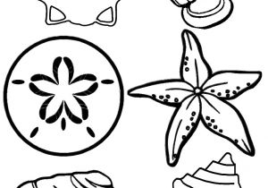 Coquillage De Mer Coloriage Free Printable Seashell Coloring Pages for Kids