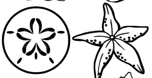 Coquillage De Mer Coloriage Free Printable Seashell Coloring Pages for Kids