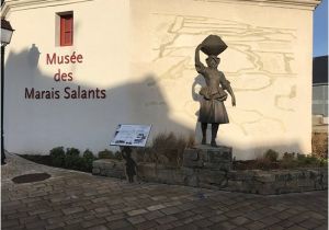 Coquillage De Mer Coloriage Une Visite Incontournable Avis De Voyageurs Sur Musée Des