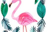 Crayola Kit De Loirsir Créatif Kit Coloriage Et Autocollants Les 119 Meilleures Images De Flamant Rose