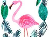 Crayola Kit De Loirsir Créatif Kit Coloriage Et Autocollants Les 119 Meilleures Images De Flamant Rose