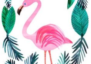 Crayola Kit De Loirsir Créatif Kit Coloriage Et Autocollants Les 119 Meilleures Images De Flamant Rose