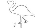 Crayola Kit De Loirsir Créatif Kit Coloriage Et Autocollants Les 119 Meilleures Images De Flamant Rose