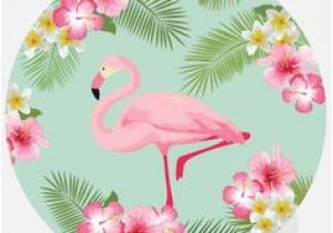 Crayola Kit De Loirsir Créatif Kit Coloriage Et Autocollants Les 119 Meilleures Images De Flamant Rose