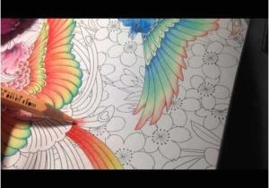 Crayon De Couleur Pour Coloriage Adulte 25 Best Technique De Coloriages Images On Pinterest