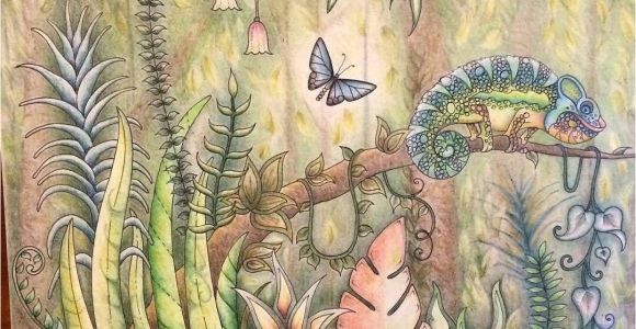 Crayon De Couleur Pour Coloriage Adulte épinglé Par Liline Sur Coloriage Pinterest