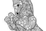 Des Coloriages De Chevaux Coloriage Coloriage Chevaux
