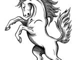 Des Coloriages De Chevaux étalon Sauvage En Posture Cabré   Colorier