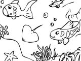 Dessin A Colorier Animaux De La Mer L Univers Marin En Coloriage En Ligne Ou Coloriage   Imprimer