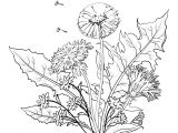 Dessin A Colorier Fleur Adulte Coloriage Adulte Bouquet De Fleurs
