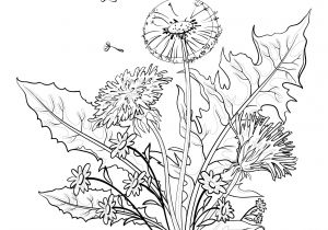 Dessin A Colorier Fleur Adulte Coloriage Adulte Bouquet De Fleurs