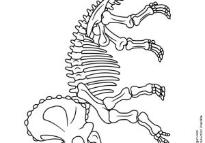 Dessin Coloriage Dinosaure Coloriage De Fossiles De Dinosaures Squelette De Triceraptor