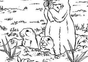 Dessin Coloriage Marmotte Coloriage Marmottes En Ligne Gratuit   Imprimer