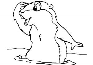 Dessin Coloriage Marmotte Dessin De Coloriage Marmotte   Imprimer Cp
