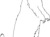 Dessin Coloriage Marmotte Marmotte Animaux – Coloriages   Imprimer