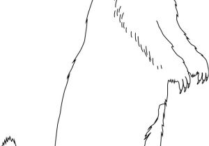 Dessin Coloriage Marmotte Marmotte Animaux – Coloriages   Imprimer