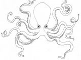 Dessin Coloriage Pieuvre Pieuvre 8 Animaux – Coloriages   Imprimer