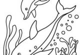 Dessin Coloriage Préhistoire 68 Best Coloriages Animaux Marins Images On Pinterest