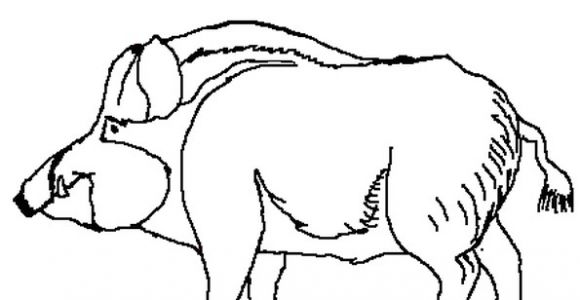 Dessin Coloriage Sanglier Coloriage Sanglier En Ligne Gratuit   Imprimer
