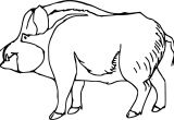Dessin Coloriage Sanglier Coloriage Sanglier Et Dessin   Imprimer