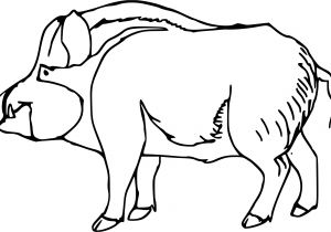 Dessin Coloriage Sanglier Coloriage Sanglier Et Dessin   Imprimer